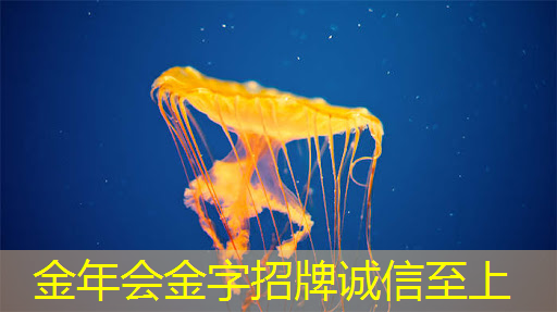 郑州物流智能仓储怎么样