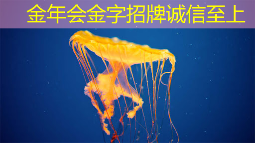 金年会:同屏投屏是否支持多种操作系统?如何解决不同系统间的兼容性问题? 金年会:同屏投屏是否支持多种操作系统?如何解决不同系统间的兼容性问题?