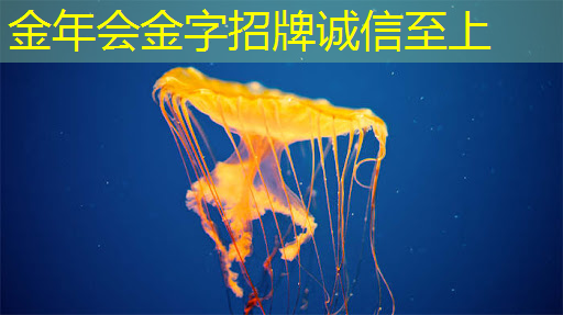 金年会:智慧城市治理项目效益 金年会:智慧城市治理项目效益