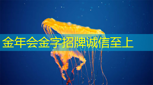 金年会:如何制作生动有趣的音视频多媒体幻灯片? 金年会:如何制作生动有趣的音视频多媒体幻灯片?