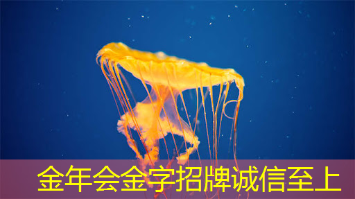 金年会:Nature|光电计算新突破!芯片性能提升万倍 金年会:Nature|光电计算新突破!芯片性能提升万倍