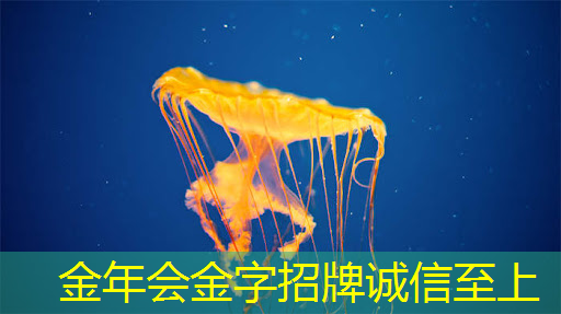 理想L9将搭载全自研智能驾驶系统;紫光国微:车载控制芯片目前还在安全测试阶段 理想L9将搭载全自研智能驾驶系统;紫光国微:车载控制芯片目前还在安全测试阶段