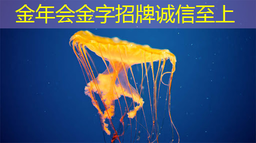 据泄露:高通正在研发一款功能强大的游戏桌面芯片 据泄露:高通正在研发一款功能强大的游戏桌面芯片