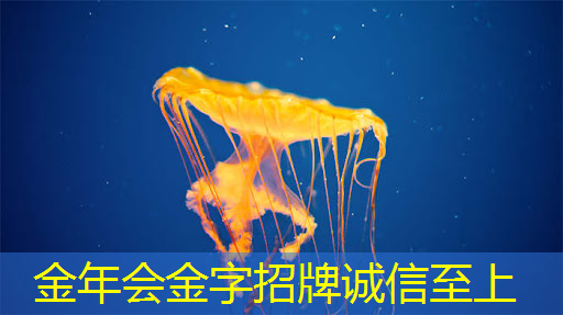 金年会:人工智能芯片:概念内涵及其重要性 金年会:人工智能芯片:概念内涵及其重要性