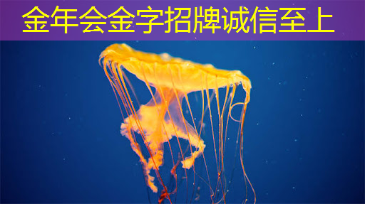 金年会:地平线工具链核心开发者杨志刚:基于征程5芯片的Transformer量化部署实践与经验|自动驾驶新青年讲座 金年会:地平线工具链核心开发者杨志刚:基于征程5芯片的Transformer量化部署实践与经验|自动驾驶新青年讲座