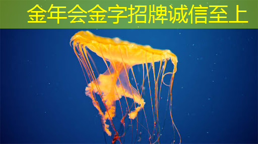 金年会:射频芯片和普通芯片的不同之处在哪? 金年会:射频芯片和普通芯片的不同之处在哪?