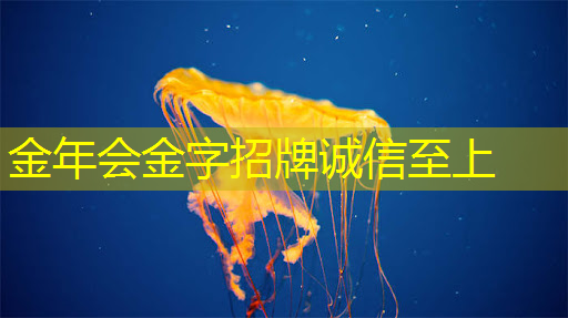 金年会:AMD AI芯片被指软件有缺陷,开箱体验远不如NVIDIA | LeetTalk Daily 金年会:AMD AI芯片被指软件有缺陷,开箱体验远不如NVIDIA | LeetTalk Daily