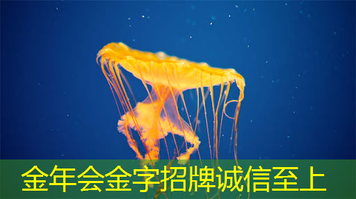 独具巧思,智慧商显系统方案塑造您的品牌价值 独具巧思,智慧商显系统方案塑造您的品牌价值