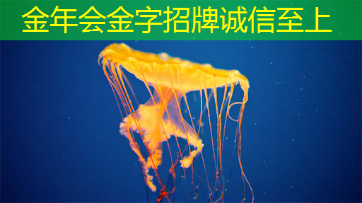 智慧商显软件助您实现展览会的极致体验! 智慧商显软件助您实现展览会的极致体验!
