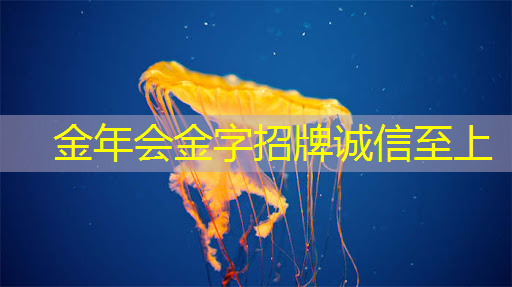 尽情展现才艺，手机wifi同屏让你成为家庭焦点！