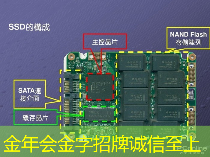 进入新纪元：探索四维投影和四维智慧的无限可能性