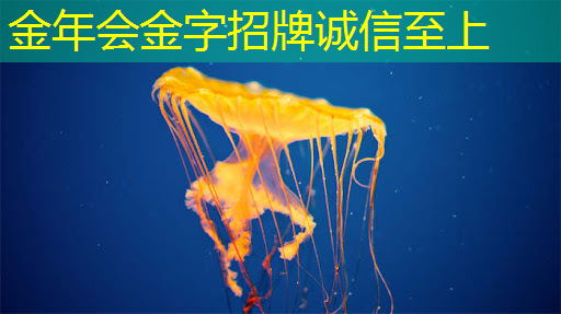看电视更方便快捷！智能无线眼镜投屏改变你的观影方式！