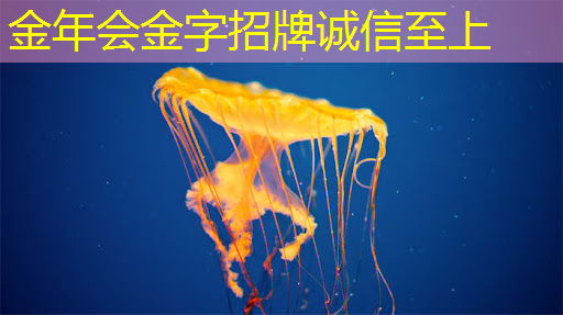 文化遗产重新焕发生机！智慧投影系统推动非遗保护与传承