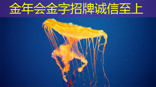 快速连接，畅享无限！无线手机连接技术为你释放潜能