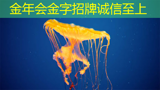 房间变大影院升级，双投智慧投影仪助力你创造无限可能！