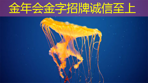 如何选择适合不同年龄阶段的早教投屏内容？
