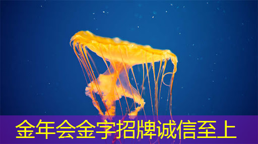地下室也能连上大屏幕！手机wifi同屏改变家居影音布局！