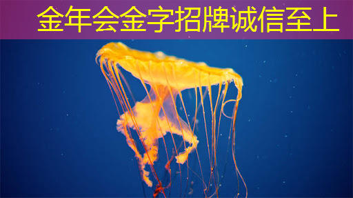 儿童早教投影仪：培养孩子的创造力和想象力