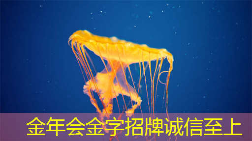 韶关智慧体育城市设备