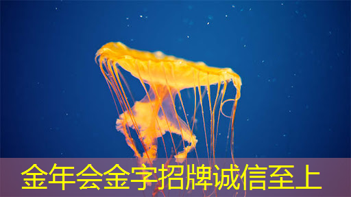 福州智能化仓储物流一体化