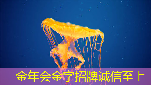 钟祥市智慧城市运营中心