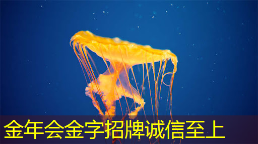 郑州物流智能仓储怎么样