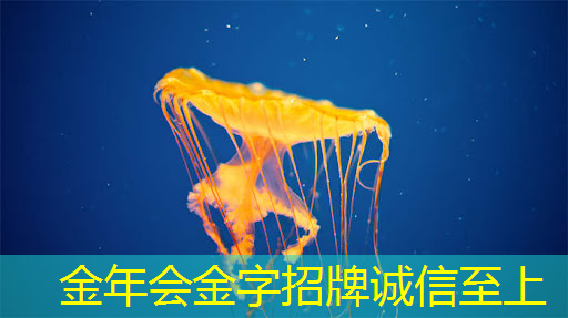 智慧城市实际应用案例