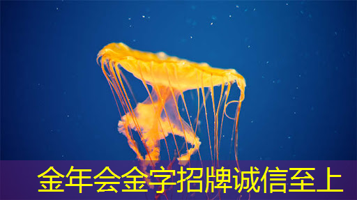 数字能源的概念