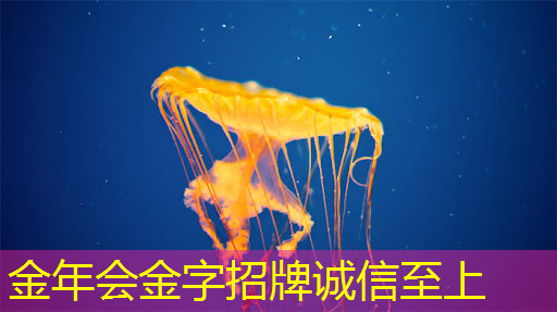 工业互联网相关内容是什么 工业互联网相关内容是什么