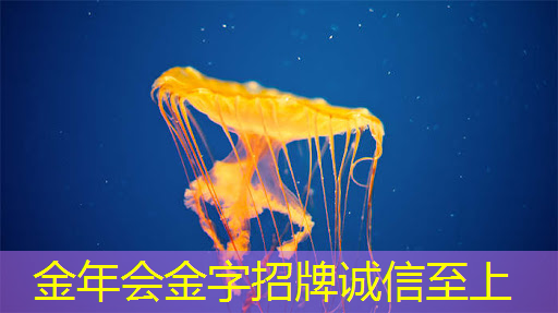 图文报道:智慧投影技术在全球展会上大放异彩! 图文报道:智慧投影技术在全球展会上大放异彩!