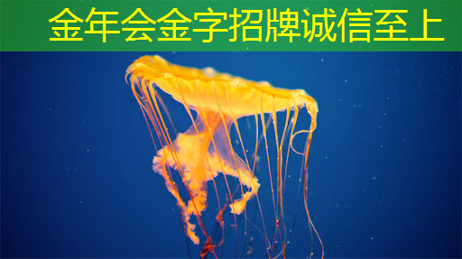 智能化弱电工程之智慧城市 智能化弱电工程之智慧城市