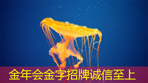 别样亮相!商显智慧屏评测浓缩未来商业趋势 别样亮相!商显智慧屏评测浓缩未来商业趋势