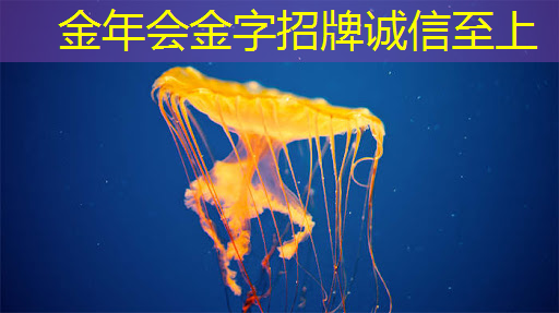 如何制作生动有趣的音视频多媒体幻灯片? 如何制作生动有趣的音视频多媒体幻灯片?