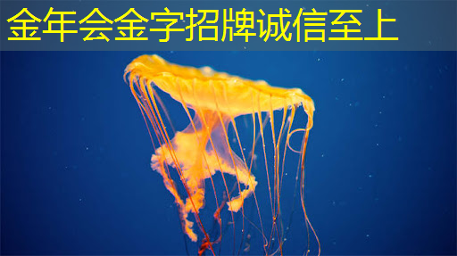 掌握未来商机!商显智慧终端引领零售创新浪潮! 掌握未来商机!商显智慧终端引领零售创新浪潮!