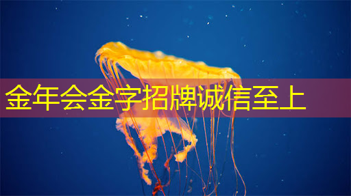 投影游戏+酒店:创造别样体验的完美组合 投影游戏+酒店:创造别样体验的完美组合