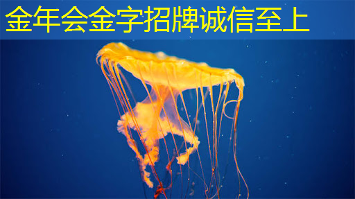 引人注目的霸屏利器!LED商显引领行业风向 引人注目的霸屏利器!LED商显引领行业风向