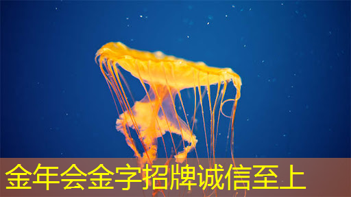 商显智慧屏:赋能实体店铺,迎接新零售时代 商显智慧屏:赋能实体店铺,迎接新零售时代