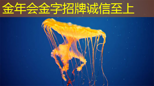 如何判断掌上游戏机芯片的稳定性和耐用性? 如何判断掌上游戏机芯片的稳定性和耐用性?
