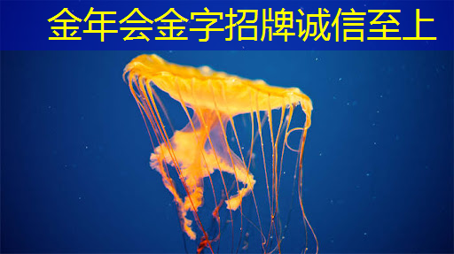 惊艳画面魅力横扫,手机投屏同屏投影仪点亮电竞世界的未来! 惊艳画面魅力横扫,手机投屏同屏投影仪点亮电竞世界的未来!