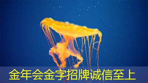 智慧商显:实现商业文化与优质服务的完美结合! 智慧商显:实现商业文化与优质服务的完美结合!