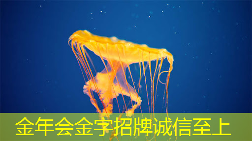 掌上游戏机芯片的升级换代速度有多快?抢先领略下一代技术! 掌上游戏机芯片的升级换代速度有多快?抢先领略下一代技术!