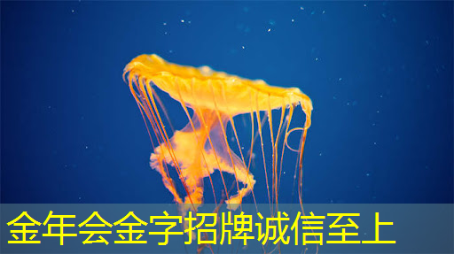 家庭辅助教育:电视手机投屏让学习更有趣 家庭辅助教育:电视手机投屏让学习更有趣