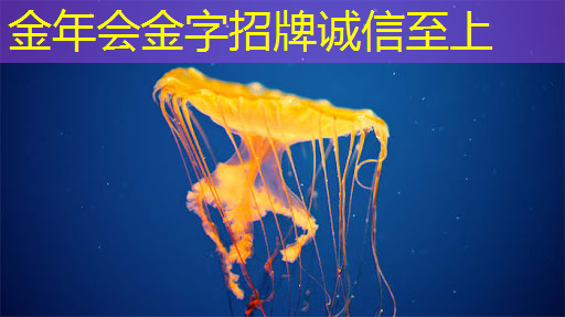 智慧商显:为国内外品牌塑造高端形象 智慧商显:为国内外品牌塑造高端形象