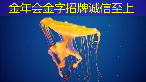 能否通过智能星空投屏观看VR和AR内容? 能否通过智能星空投屏观看VR和AR内容?