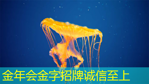 商业智能时代 新秀荟萃,智慧商显展你不容错过! 商业智能时代 新秀荟萃,智慧商显展你不容错过!