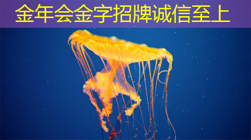 芝麻投影:高效学习与情感交流,你更看重哪个? 芝麻投影:高效学习与情感交流,你更看重哪个?