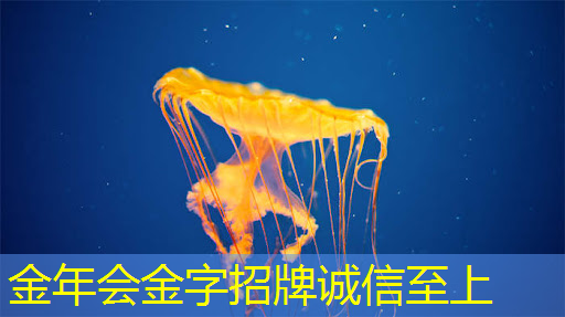 终极视觉盛宴!智慧投影领衔创意产业发展! 终极视觉盛宴!智慧投影领衔创意产业发展!