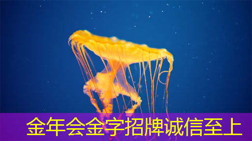 引发购物新体验:360智慧商显让消费者流连忘返! 引发购物新体验:360智慧商显让消费者流连忘返!