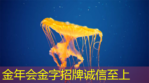 智慧家居新选择,大视野智慧商显指点未来 智慧家居新选择,大视野智慧商显指点未来