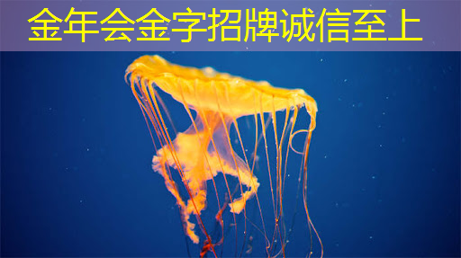 高科技催生高效率,智慧商显软件解决企业营销困局! 高科技催生高效率,智慧商显软件解决企业营销困局!